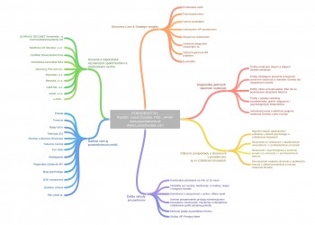 Myšlienková mapa | LubosDurdiak.sk
